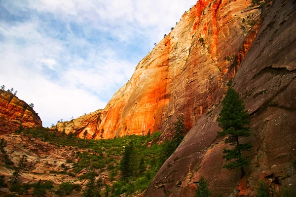 Slopes of Zion canyon. Utah. USA. — Stock Photo, Image