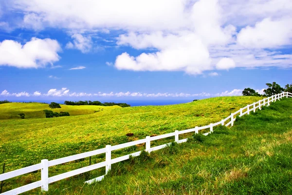 Büyük ada manzarası. Hawaii — Stok fotoğraf