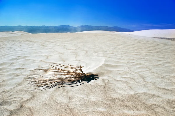 Білі піщані дюни під блакитним небом — стокове фото