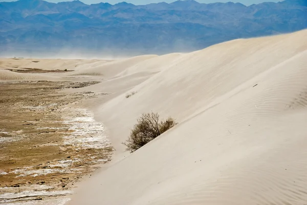 Песчаные дюны под голубым небом — стоковое фото