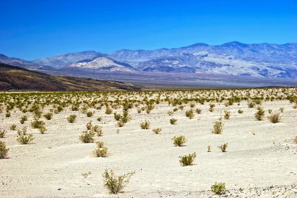 Безжизненный пейзаж Долины Смерти — стоковое фото