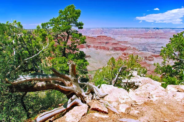 Superbe vue sur le Grand Canyon — Photo