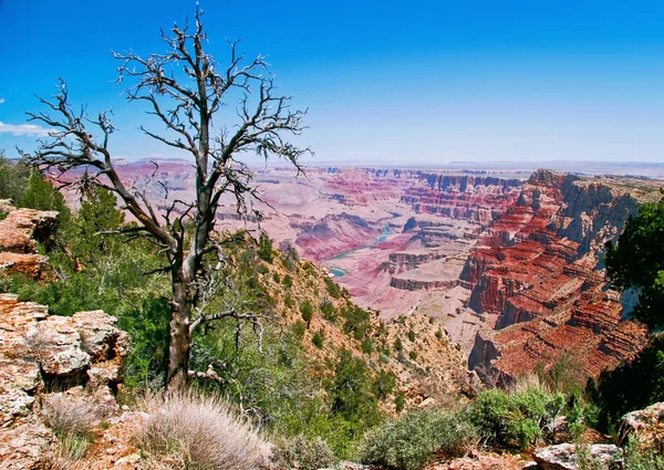 Excelente vista para o Grand Canyon — Fotografia de Stock