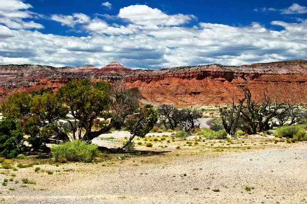 Pendientes del cañón de Sion. Utah. Estados Unidos . —  Fotos de Stock