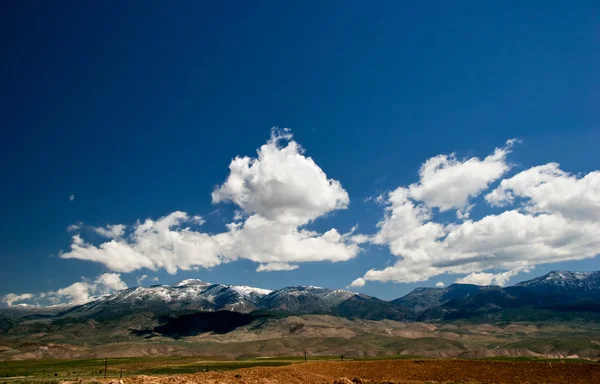 Inclinações do desfiladeiro de Sião. Utah. Estados Unidos . — Fotografia de Stock