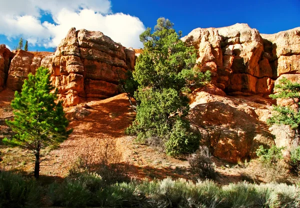 stock image Slopes of Zion canyon. Utah. USA.