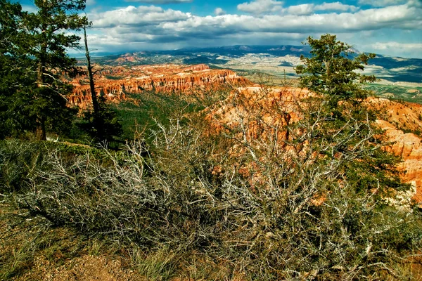 Utah state manzarası. ABD — Stok fotoğraf