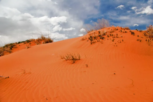 Parco nazionale delle dune di sabbia rosa corallo. Stati Uniti — Foto Stock