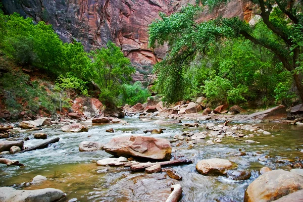 River in Zion Canyon — Stock Photo, Image
