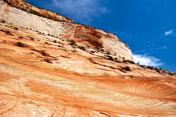 Склоны каньона Зайон. В Юту. США . — стоковое фото
