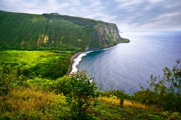 Visa på havet på den stora ön. Hawaii Stockfoto