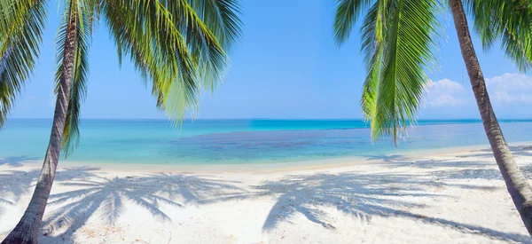 Praia tropical panorâmica com coqueiro — Fotografia de Stock