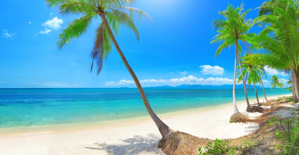 Panoramatické tropická pláž — Stock fotografie