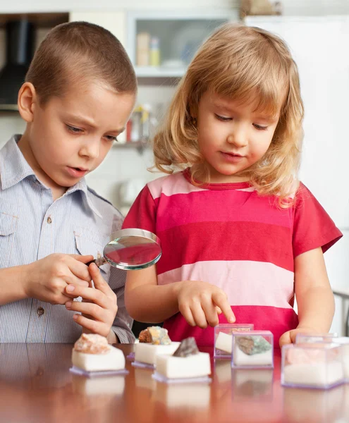 Children are considering a magnifying glass collection of stones — Stock Photo, Image