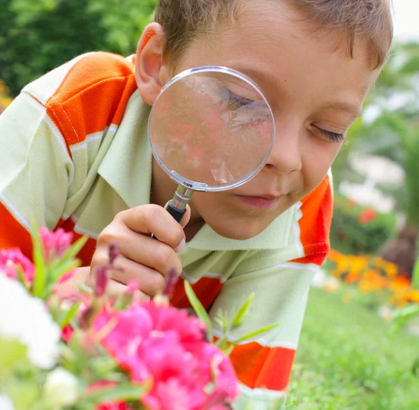 Chłopiec, badając z kwiatem szkło powiększające — Zdjęcie stockowe