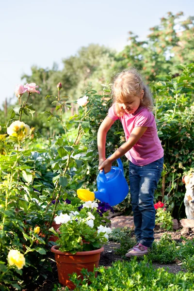 Girl watering flowers are watered from — Stock Fotó