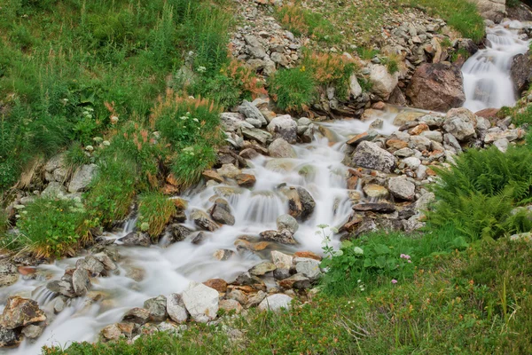 stock image Waterfall in green nature