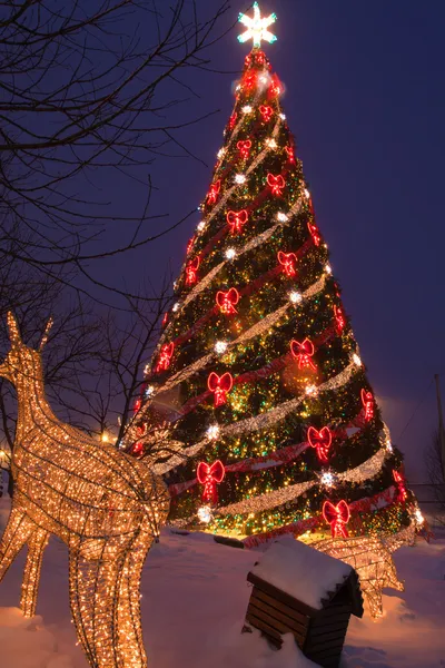 Boże Narodzenie jodły z dekoracjami — Zdjęcie stockowe