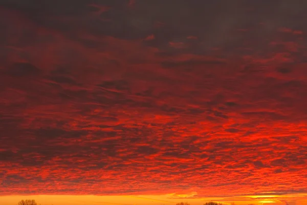 Röda moln upplyst av solen — Stockfoto