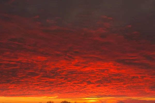 Rudá oblaka osvětlena Sluncem — Stock fotografie