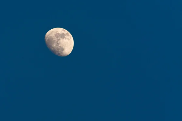 stock image Full moon night scene