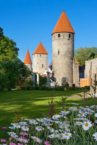 Wieże w Tallinnie. Estonia — Zdjęcie stockowe