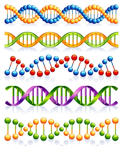 Cordas de ADN — Vetor de Stock