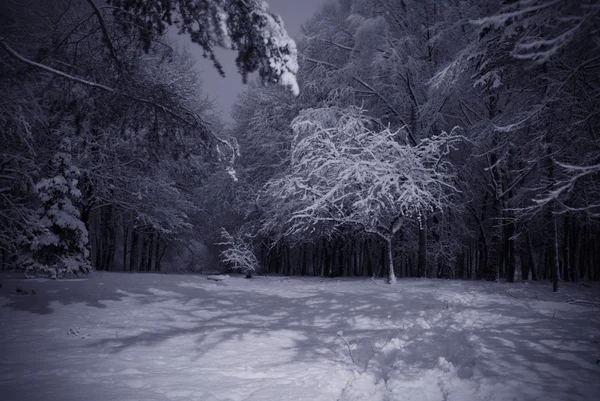Inverno paisagem noturna Imagens De Bancos De Imagens