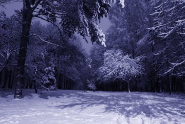 Winter night landscape clipart