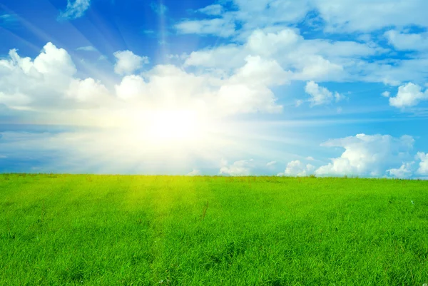 Paisaje con hierba verde y cielo nublado —  Fotos de Stock