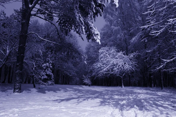 冬夜景观 — 图库照片