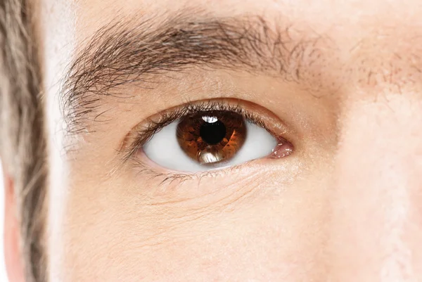 Oeil brun de l'homme — Photo