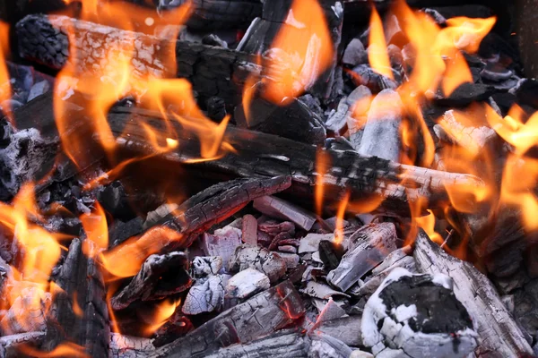Tűz & Izzó fadarab — Stock Fotó
