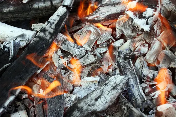 Tűz & Izzó fadarab — Stock Fotó