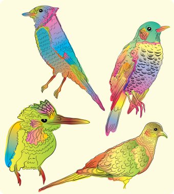 Four beautiful birds clipart