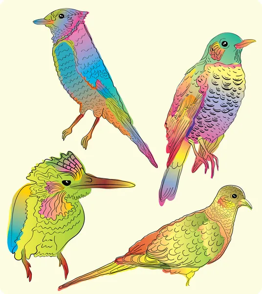 Négy gyönyörű madár — Stock Vector