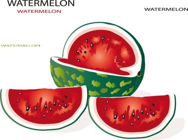 Water-melon clipart