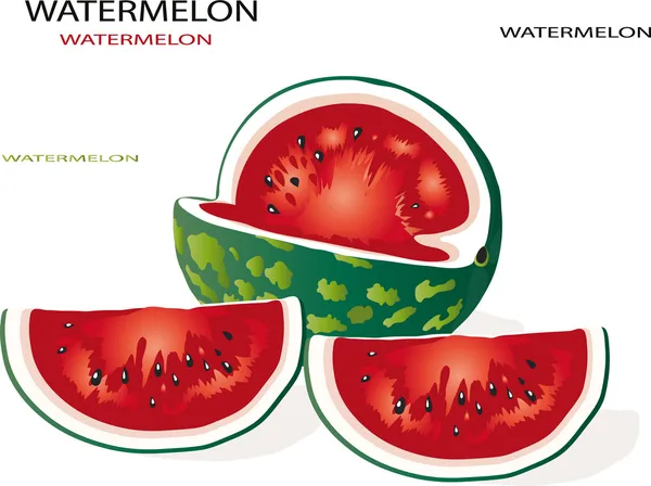 Water-meloen — Stockvector