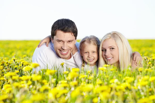 In the blossoming field — Stock Photo, Image