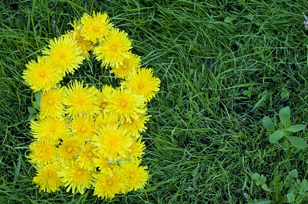 stock image Dandelion Flowers in form of House