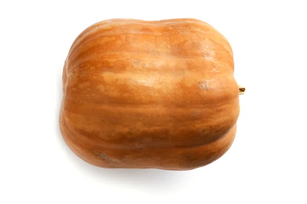 Pumpkin macro — Stock Photo, Image