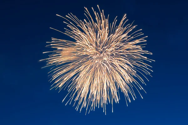 Firework on blue sky — Stock Photo, Image