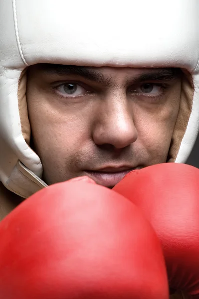 Boxer close up — Stock Photo, Image