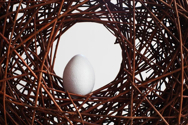 Яйцо в гнезде над ветвями — стоковое фото