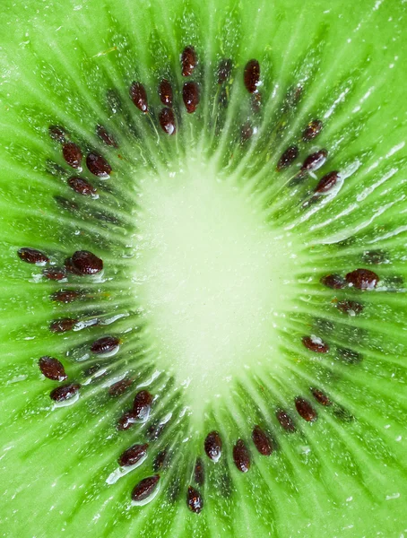 Închiderea feliei kiwi — Fotografie, imagine de stoc