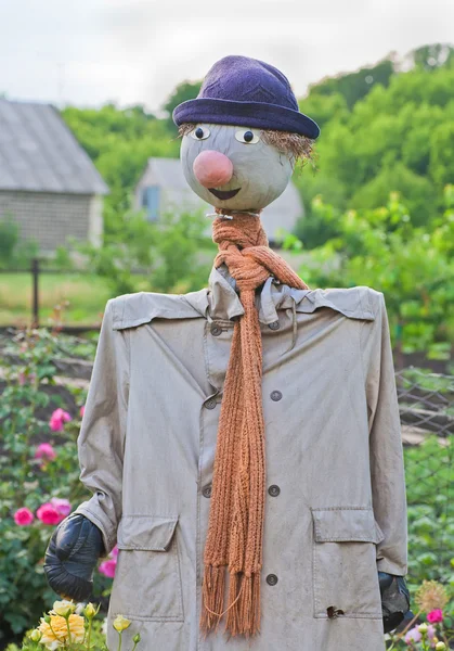 stock image Scarecrow