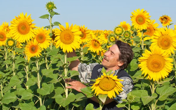 Farmář pohledu na slunečnice — Stock fotografie