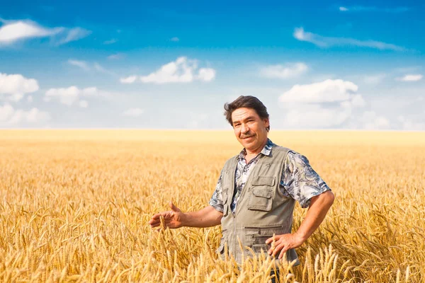 Farmář stojící na pšeničném poli — Stock fotografie