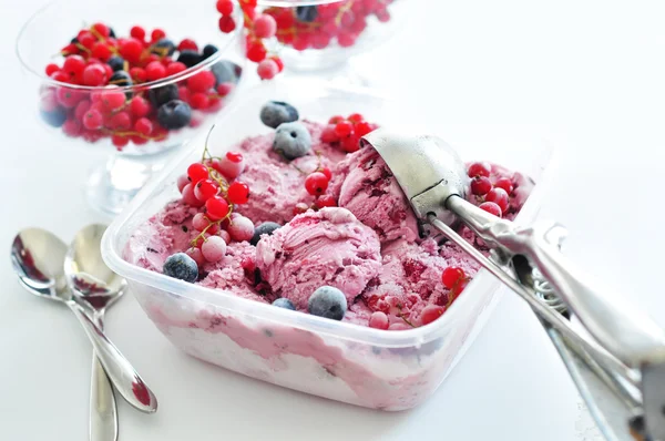 Ice cream with berry — Stock Photo, Image
