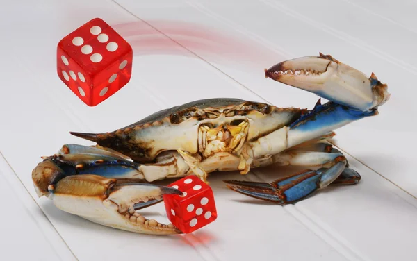 Blå krabba. — Stockfoto